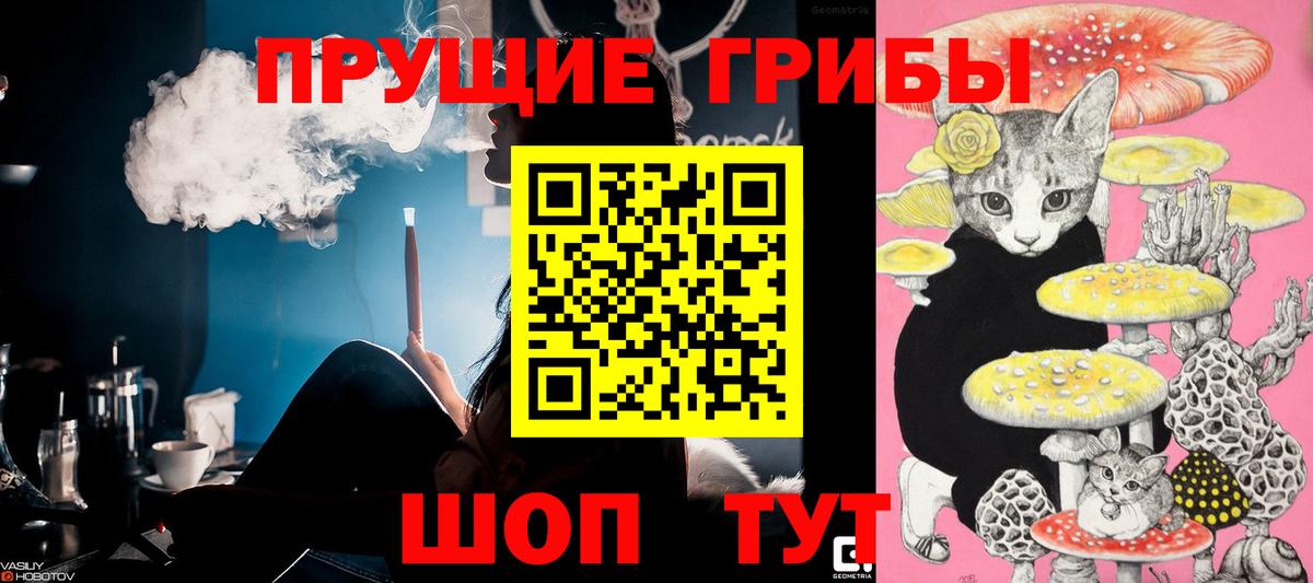 Галлюциногенные грибы Psilocybe  где купить наркоту  Псилоцибиновые грибы Psilocybine cubensis  Луга  Вход с VPN 